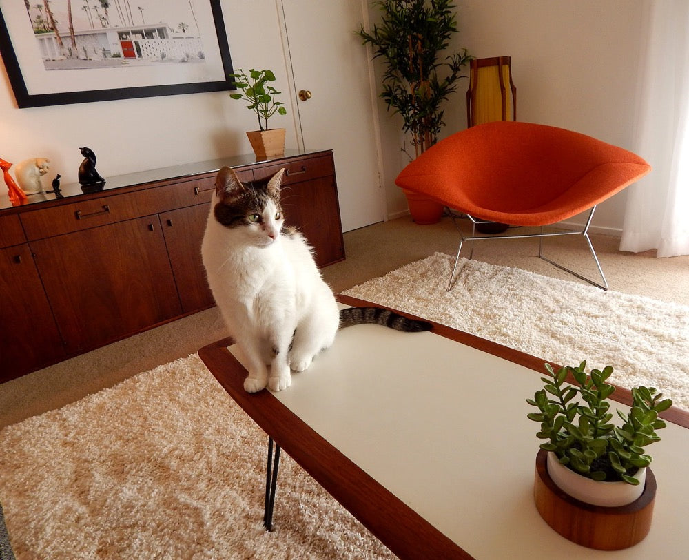 Cushion for Large Bertoia Diamond Chair - Many Fabrics and Colors Available!